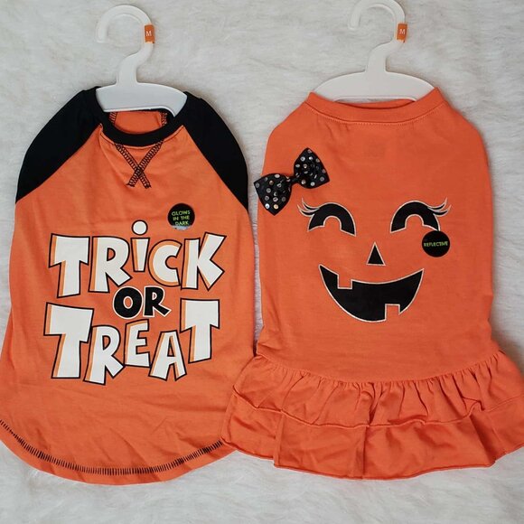 🟠Thrills & Chills Halloween Dog Apparel - Glow in Dark Shirt & Reflective Dress - Picture 1 of 15